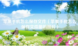 苹果手机怎么保存文件（苹果手机怎么保存文件里的图片）