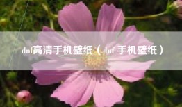 dnf高清手机壁纸（dnf 手机壁纸）