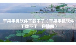 苹果手机软件下载不了（苹果手机软件下载不了一直转圈）