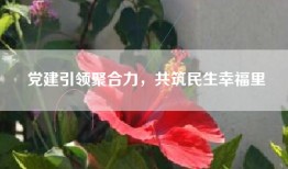 党建引领聚合力，共筑民生幸福里