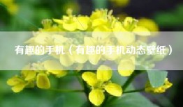 有趣的手机（有趣的手机动态壁纸）