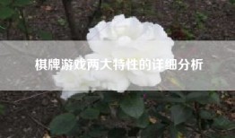 棋牌游戏两大特性的详细分析