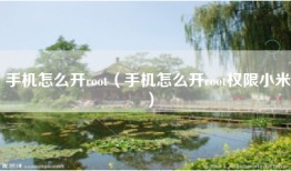 手机怎么开root（手机怎么开root权限小米）