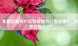 东营百度开户后如何提升广告效果？_东营百度开户