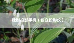 独影投影手机（独立投影仪）