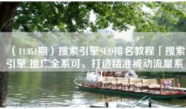 （11351期）搜索引擎SEO排名教程「搜索引擎 推广全系可，打造精准被动流量系统」