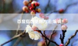 百度指数使用方法[编辑]