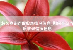 怎么查询百度收录情况信息_如何查询百度收录情况信息