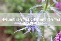 手机话筒没有声音（手机话筒没有声音怎么解决）