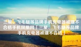 三星、飞毛腿等品牌手机充电器被曝不合格手机凤凰网「三星、飞毛腿等品牌手机充电器被曝不合格」