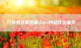 只做有效果的确山SEO网站优化服务