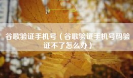 谷歌验证手机号（谷歌验证手机号码验证不了怎么办）