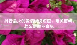抖音最火的爱情说说短语，唯美好听，怎么听都不会腻
