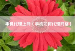 手机代理上网（手机如何代理网络）