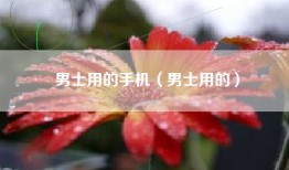 男士用的手机（男士用的）