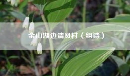 金山湖边清风村（组诗）
