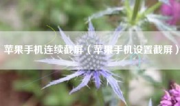 苹果手机连续截屏（苹果手机设置截屏）