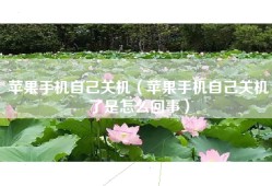 苹果手机自己关机（苹果手机自己关机了是怎么回事）