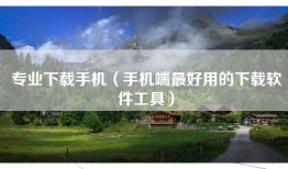 专业下载手机（手机端最好用的下载软件工具）