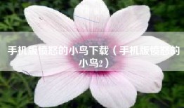 手机版愤怒的小鸟下载（手机版愤怒的小鸟2）