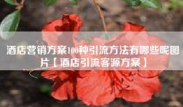 酒店营销方案100种引流方法有哪些呢图片【酒店引流客源方案】