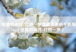 金庸群侠传x红颜一梦金庸群侠机手机版「金庸群侠传x红颜一梦」