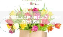 手机内存怎么选择手机怎么选「手机内存怎么选择」