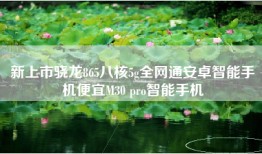 新上市骁龙865八核5g全网通安卓智能手机便宜M30 pro智能手机