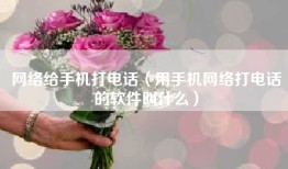 网络给手机打电话（用手机网络打电话的软件叫什么）