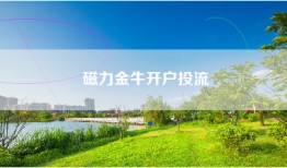 磁力金牛开户投流