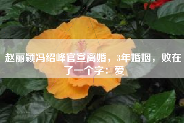 赵丽颖冯绍峰官宣离婚，3年婚姻，败在了一个字：爱