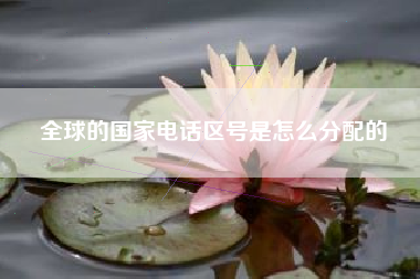 全球的国家电话区号是怎么分配的 全球的国家电话区号是怎么分配的