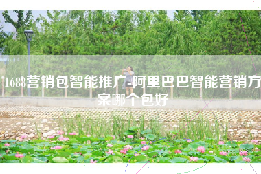 1688营销包智能推广-阿里巴巴智能营销方案哪个包好