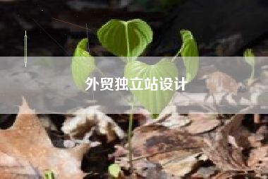 外贸独立站设计