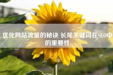 优化网站流量的秘诀 长尾关键词在SEO中的重要性