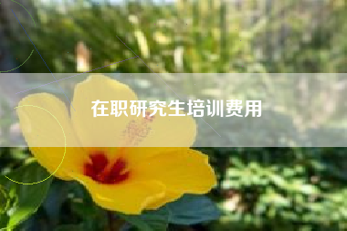 在职研究生培训费用