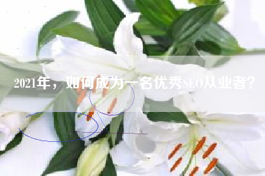 2021年，如何成为一名优秀SEO从业者？