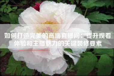 如何打造完美的高端直播间：提升观看体验和主播魅力的关键装修要素