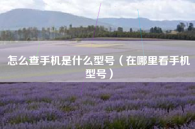 怎么查手机是什么型号（在哪里看手机型号）