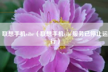联想手机vibe（联想手机vibe服务已停止运行）