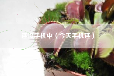 连接手机中（今天手机连）