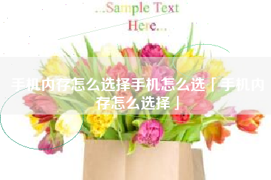 手机内存怎么选择手机怎么选「手机内存怎么选择」