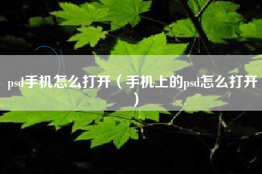 psd手机怎么打开（手机上的psd怎么打开）