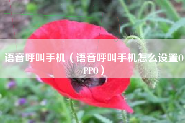 语音呼叫手机（语音呼叫手机怎么设置OPPO）