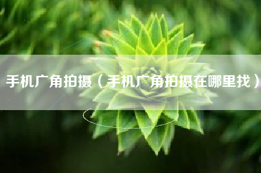 手机广角拍摄（手机广角拍摄在哪里找）