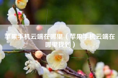 苹果手机云端在哪里（苹果手机云端在哪里找到）