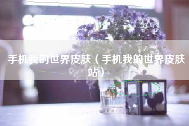 手机我的世界皮肤（手机我的世界皮肤站）