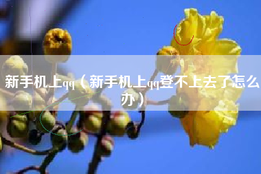 新手机上qq（新手机上qq登不上去了怎么办）