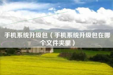 手机系统升级包（手机系统升级包在哪个文件夹里）