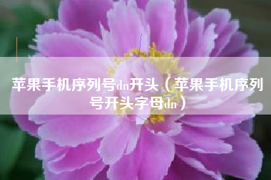 苹果手机序列号dn开头（苹果手机序列号开头字母dn）